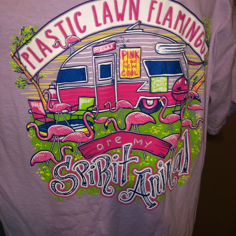 5/$25 Sassy Frass Flamingo T Shirt
